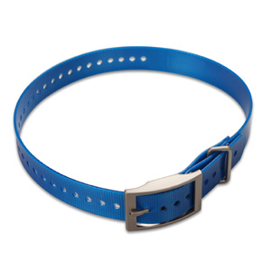 Hundehalsband Blau (2,5 cm)